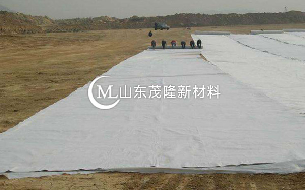 《天府機(jī)場(chǎng)TJ6標(biāo)》土工格柵、土工布、排水板施工