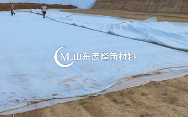 《現(xiàn)西咸新區(qū)高爾夫》土工布、復合土工布施工