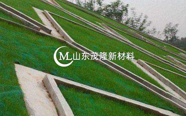 《都勻至安順公路項(xiàng)目》土工格柵、三維植被網(wǎng)施工