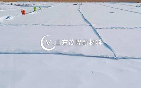 《臺輝高速》土工布、土工格柵施工