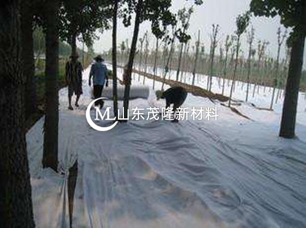 反濾機(jī)制下土工布孔隙結(jié)構(gòu)變化研究