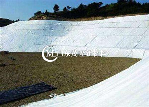 土工布作為機(jī)井濾水材料的試驗研究  第1張