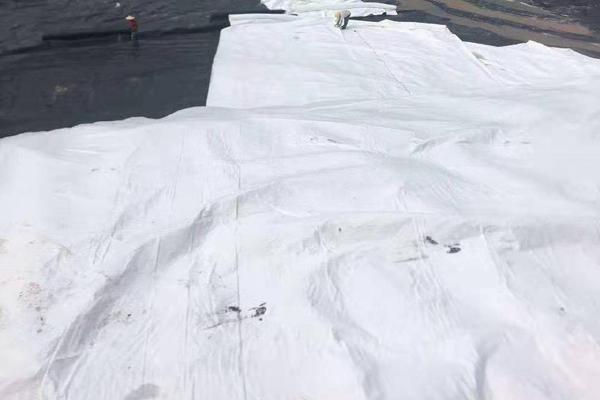 土工布在鐵路路基中的作用及其重要性解析  第2張