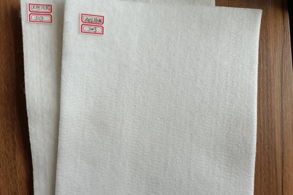 滌綸土工布和丙綸土工布:一起了解它們的特點與應(yīng)用 第1張