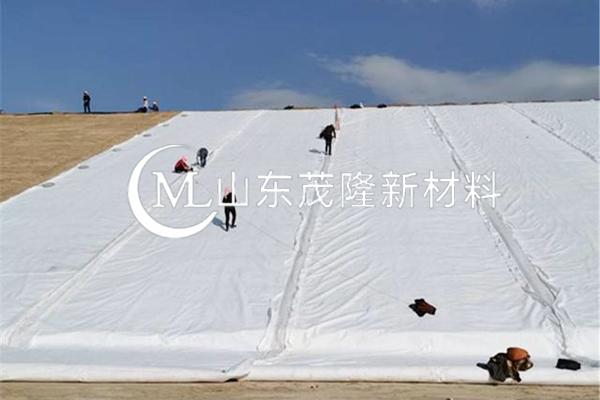 《引江濟(jì)淮工程（安徽段）引江濟(jì)巢段菜巢線(xiàn)施工C001 標(biāo)工程項(xiàng)目》土工布施工