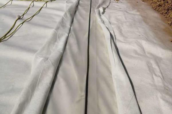 土工布可以保溫嗎  第3張