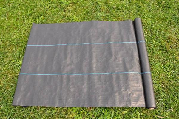 防草布使用前需要除草嗎  第2張